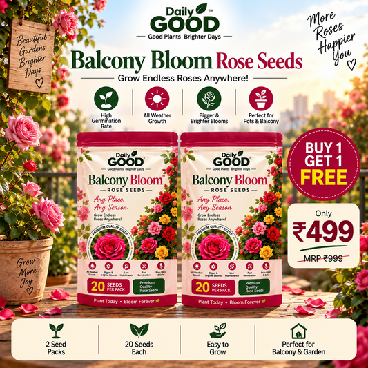 EverBloom™ Premium Rose Seeds (PACK OF 2)