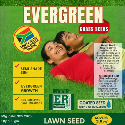 All Season Evergreen Grass Seeds (Pack of 2)