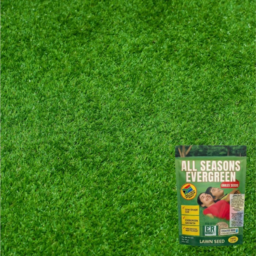 All Season Evergreen Grass Seeds (Pack of 2)