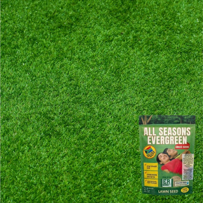 All Season Evergreen Grass Seeds (Pack of 2)